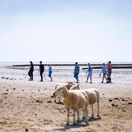 Отель Tui Blue Sylt