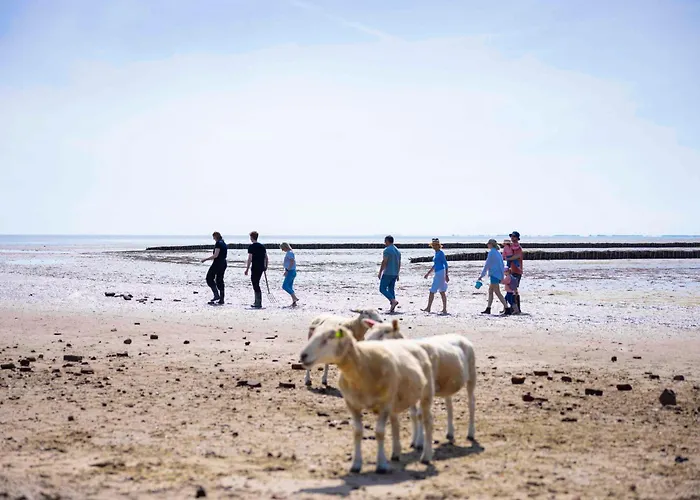Hotell Tui Blue Sylt